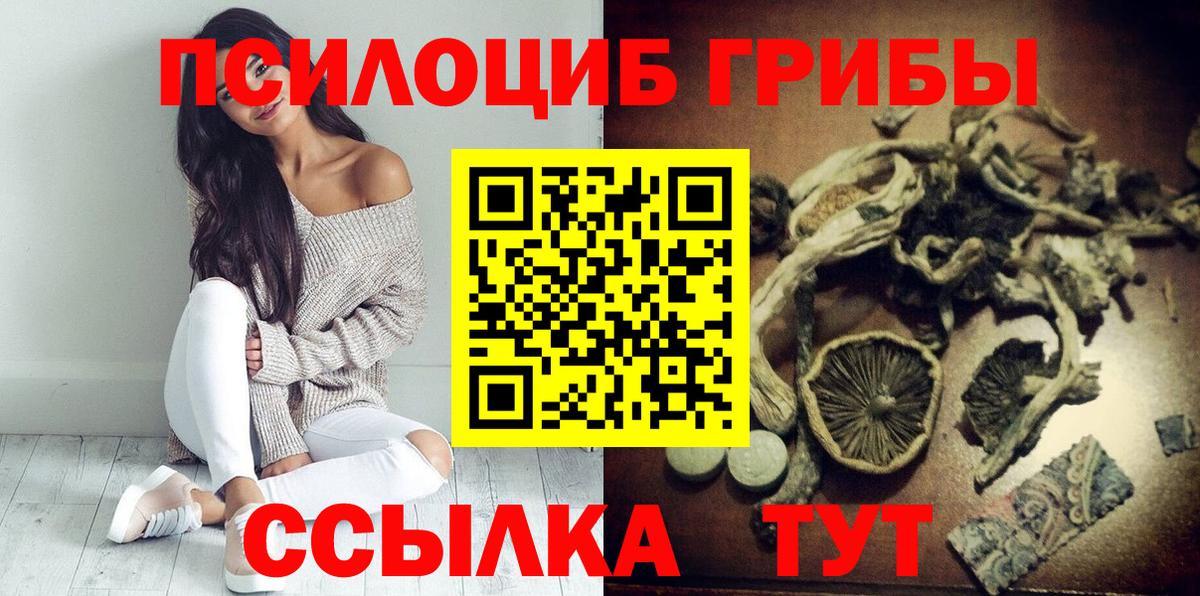 Галлюциногенные грибы Cubensis Чистополь