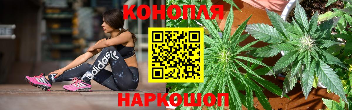 Шишки марихуана Amnesia Чистополь